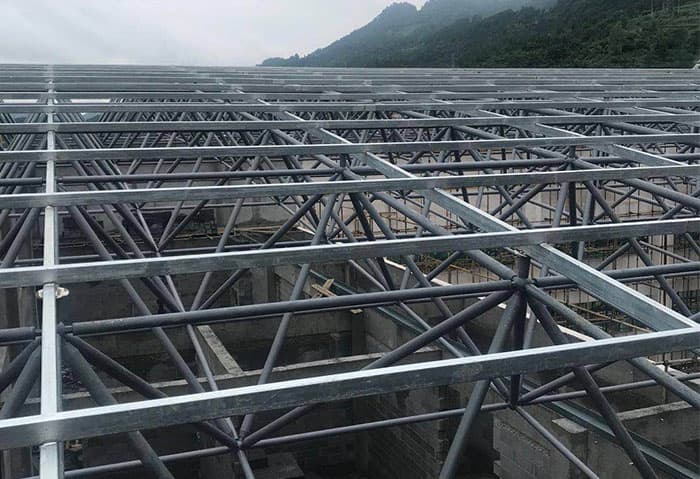 临安水泥厂网架安装